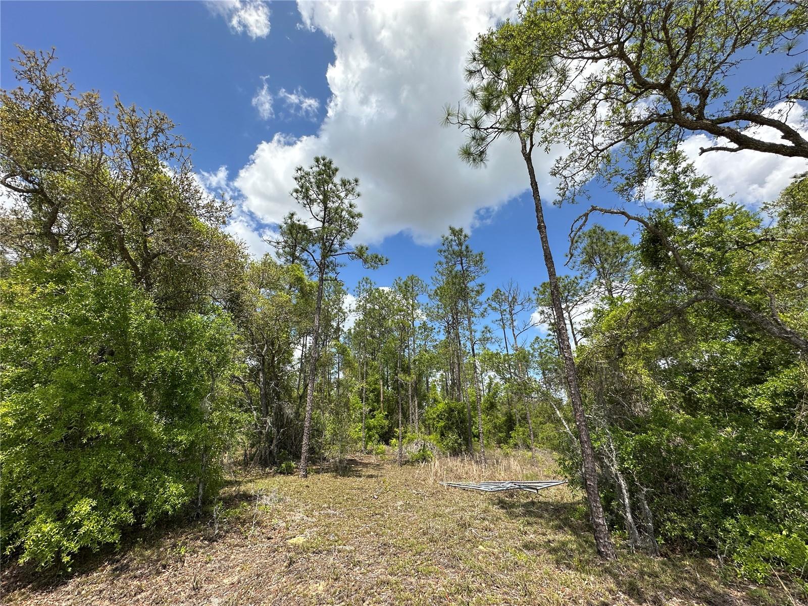 WILLISTON HIGHLANDS UNIT 7 - Land