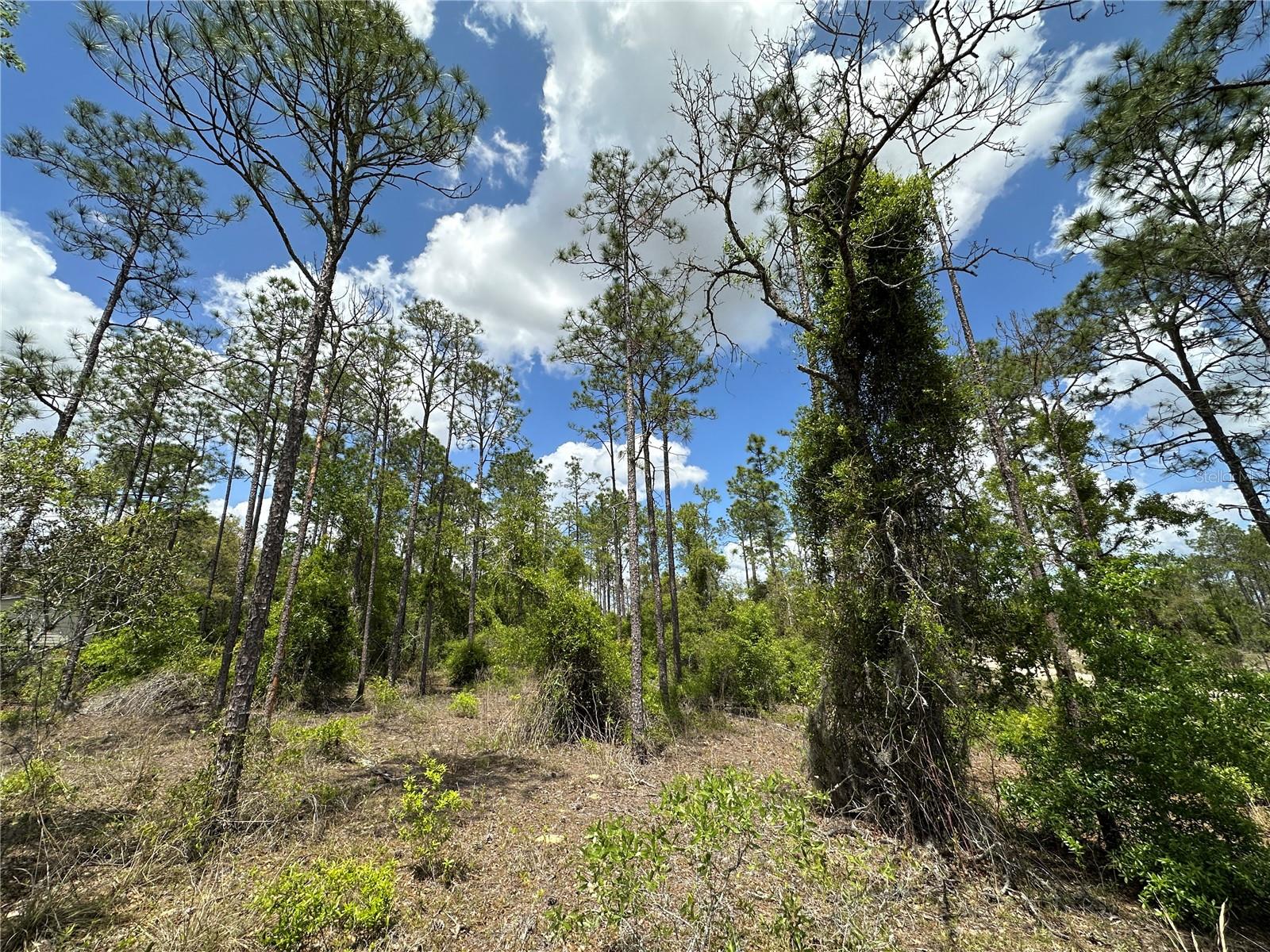 WILLISTON HIGHLANDS UNIT 7 - Land