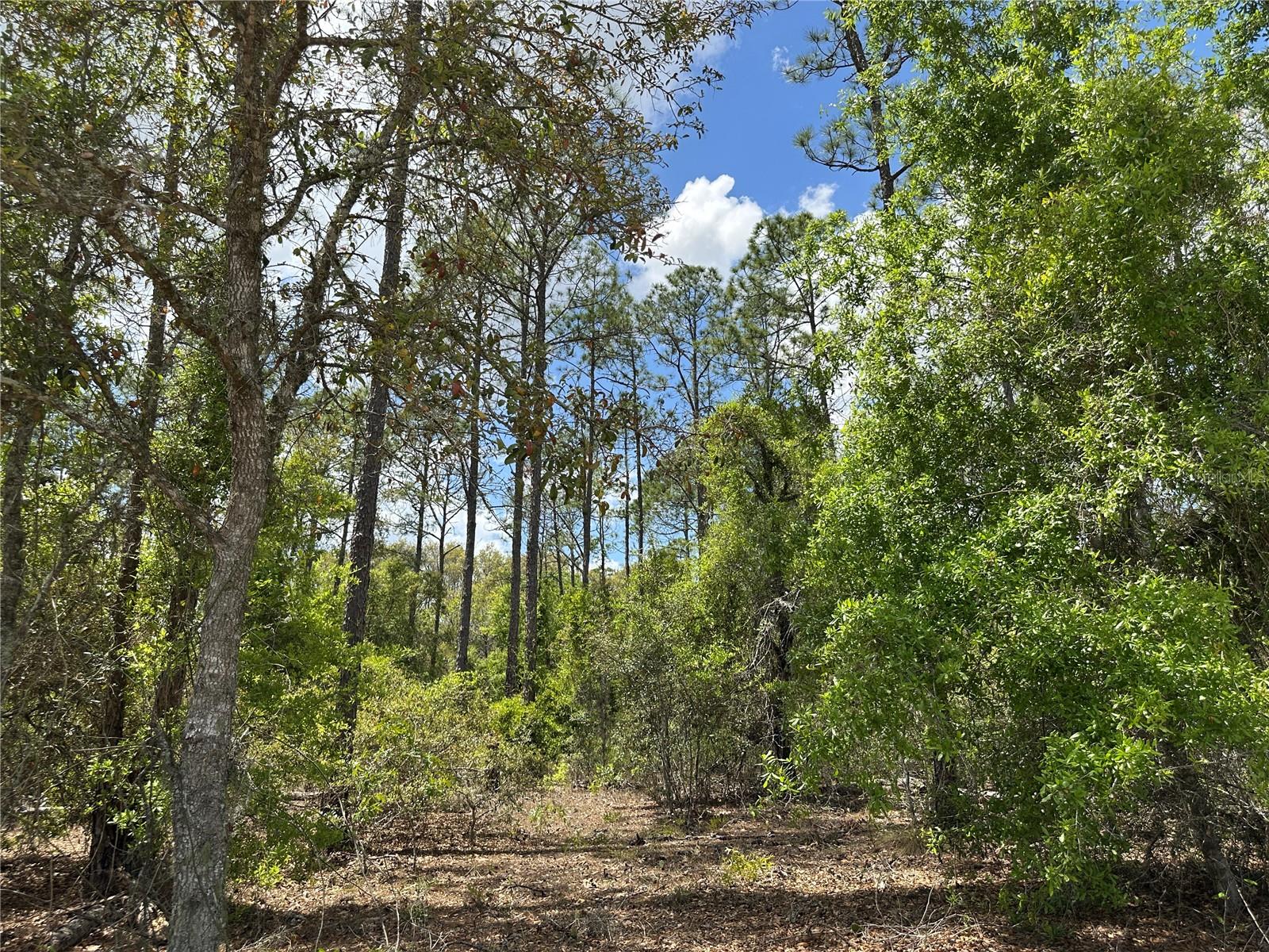 WILLISTON HIGHLANDS UNIT 7 - Land