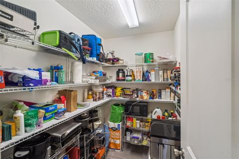 Tiny photo for 1841 Wilson Prairie Circle, Groveland, FL 34736 (MLS # O6404627)