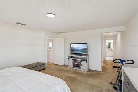 Tiny photo for 1841 Wilson Prairie Circle, Groveland, FL 34736 (MLS # O6404627)