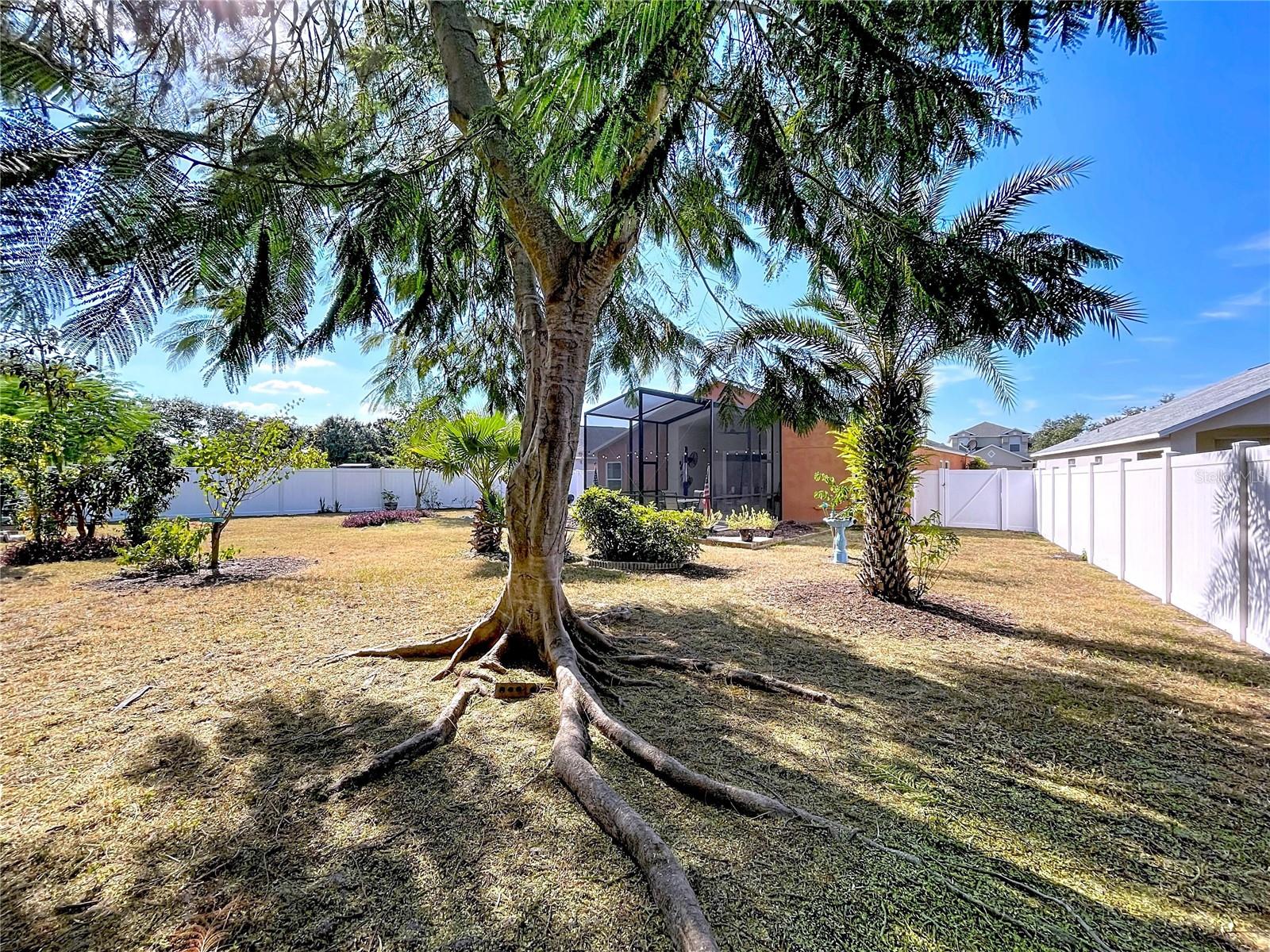 WELLINGTON NORTH AT BAY PARK - Residential