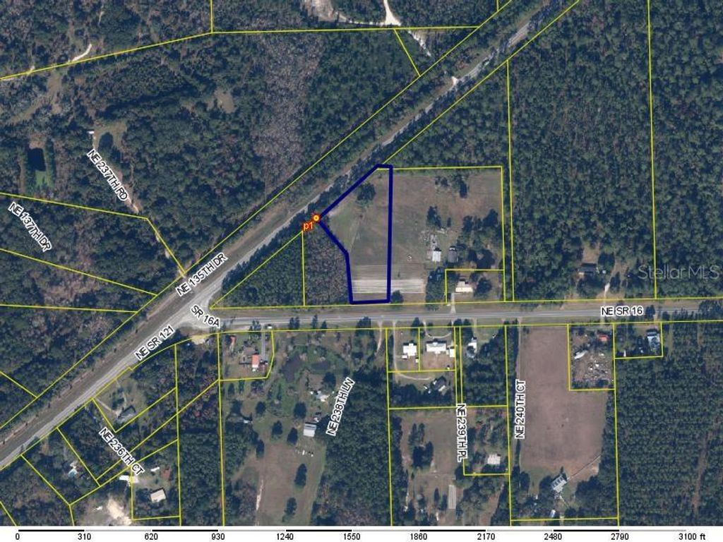 Photo of NE State Road 16, Raiford, FL 32083 (MLS # GC539744)