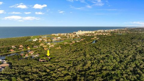 A home in PALM COAST