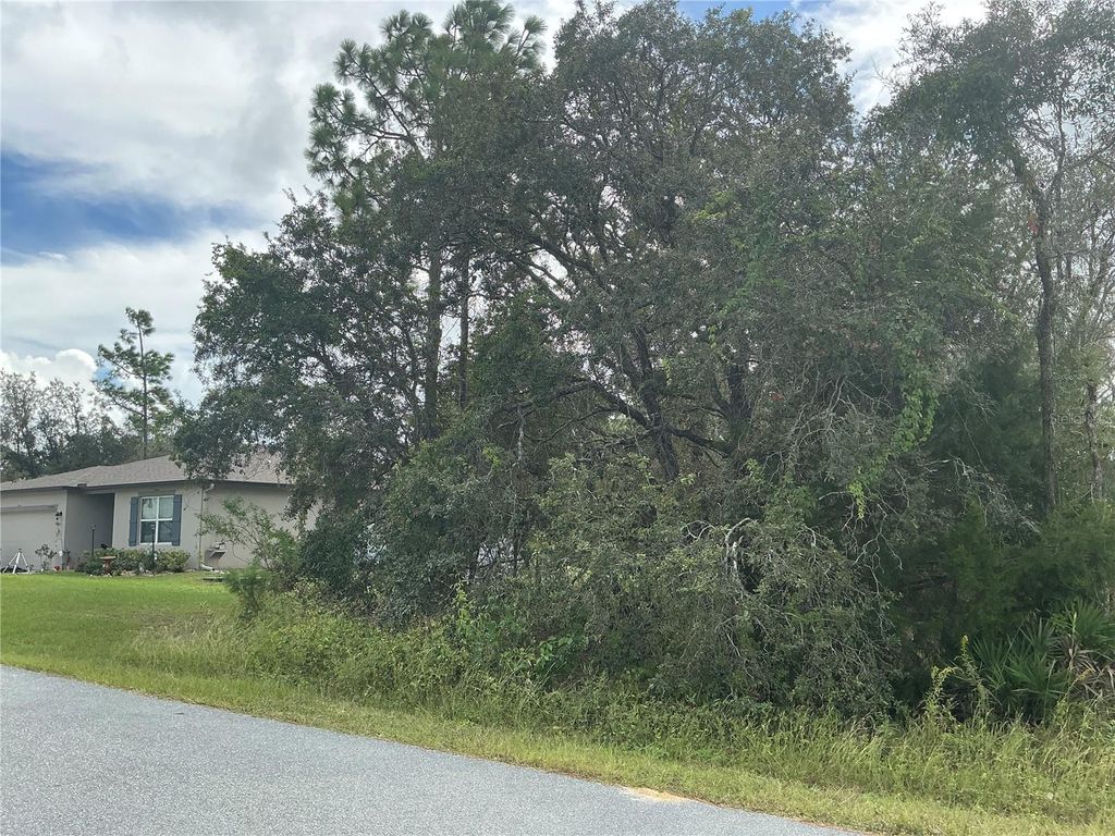 Photo of 11434 Poorwill Avenue, Brooksville, FL 34614 (MLS # OM715688)