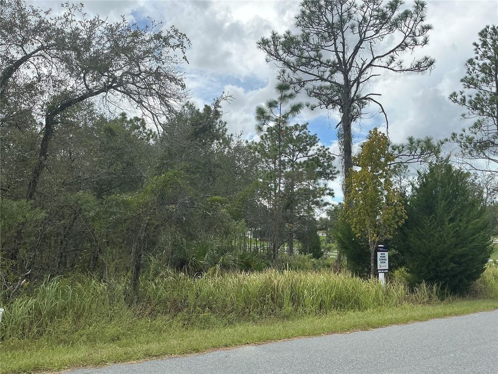 Photo of 11434 Poorwill Avenue, Brooksville, FL 34614 (MLS # OM715688)