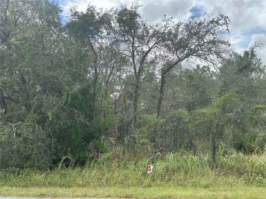 Situated in the heart of Weeki Wachee, this lot measures 100 by 200 feet, located outside the flood zone, with no wetlands, this lot is shovel-ready and primed for development. Royal Highlands -  live in Weeki Wachee. Rural setting yet close enough to Spring Hill and Tampa via the Suncoast Hwy. Lots of new construction in the Royal Highlands subdivision, which is not in an HOA. Power, cable and internet are available. Down the street from Weeki Wachee Springs State Park where you can attend Swampfest or paddle scenic waterways. Only 10 minutes to the award winning World Woods Golf Club by Tom Fazio. 20 minutes to Withlacoochee State Forest that has 2600 acres of ATV riding trails. Royal Highlands is also an easy commute to nearby cities, just over an hour north of Tampa, 1.5 hours west of Orlando, and one hour from Ocala.