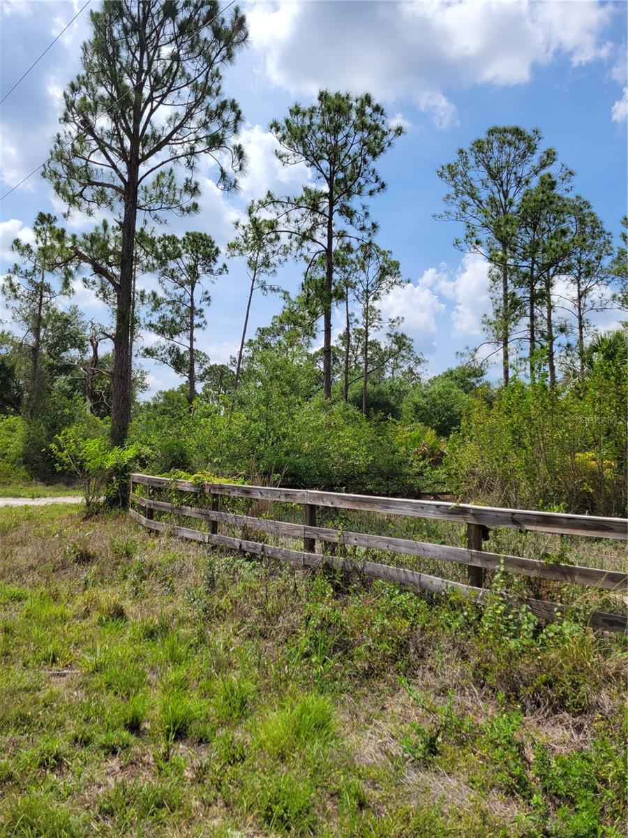 LEHIGH ACRES - Land
