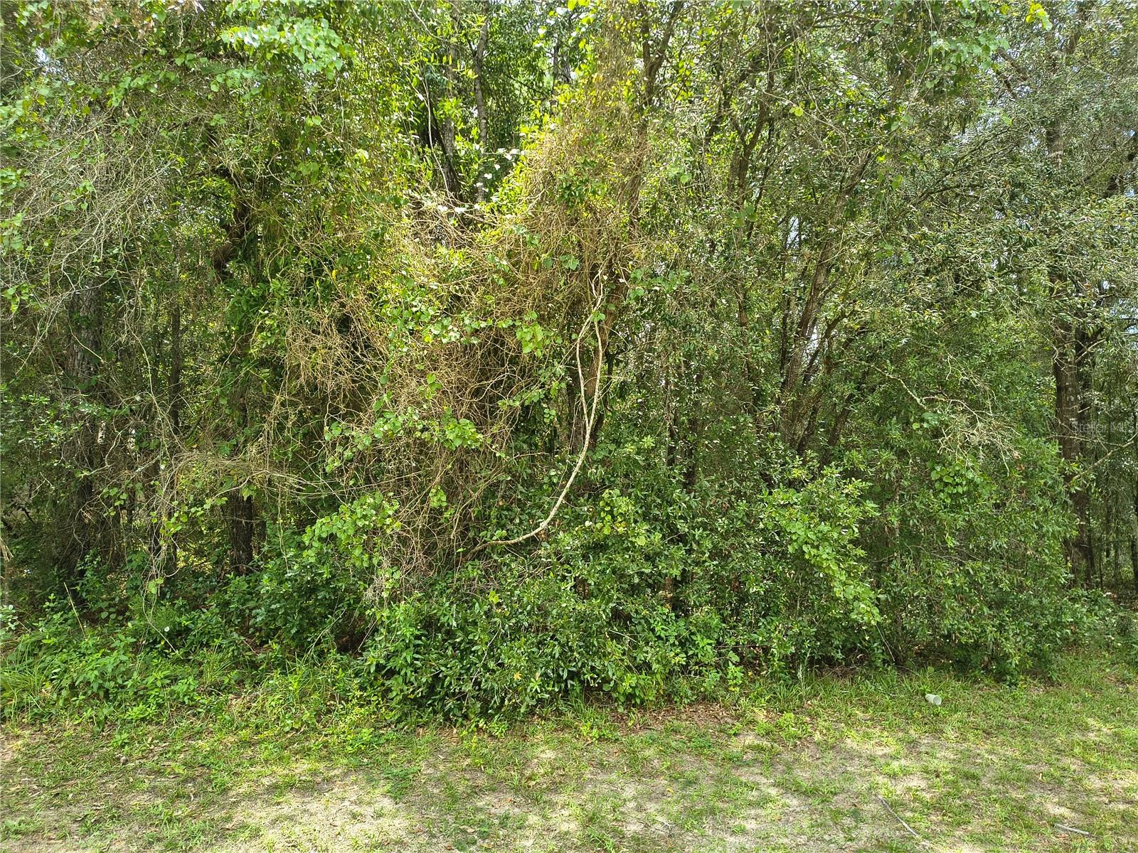 712 W COUNTRY CLUB BOULEVARD