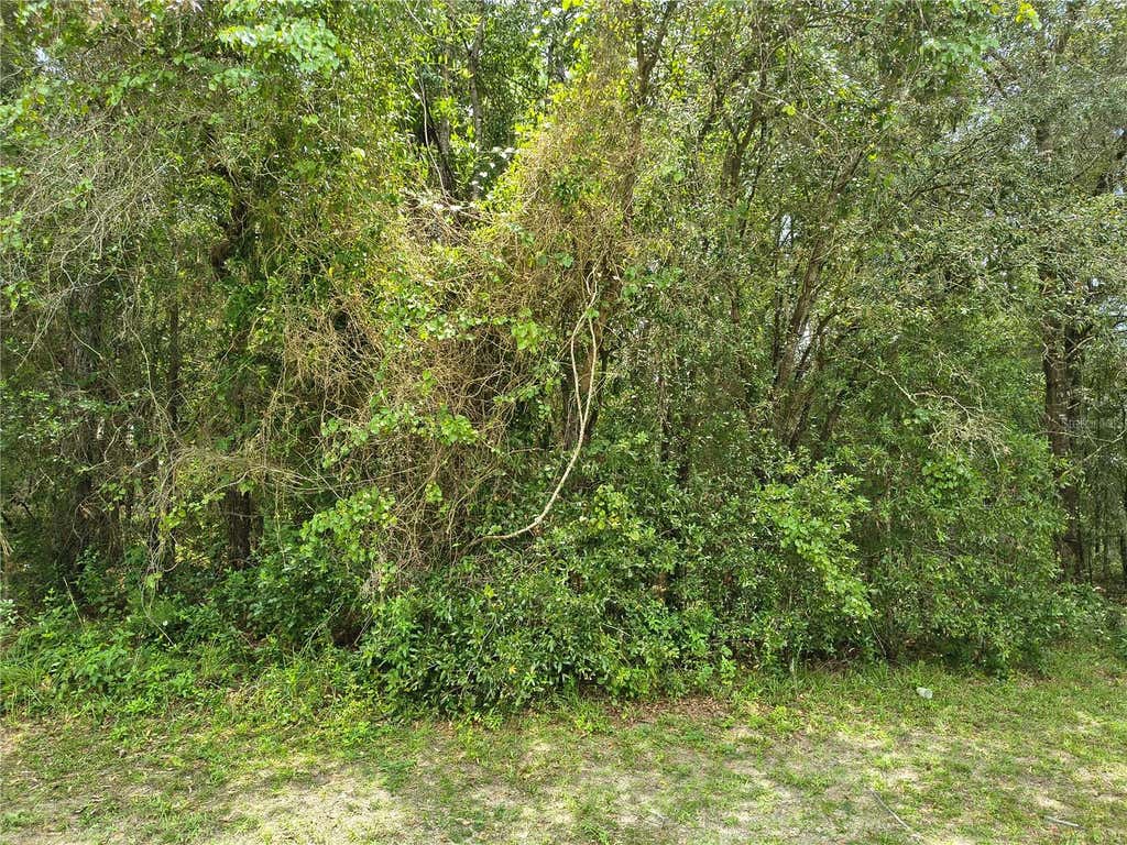 Photo of 712 W Country Club Boulevard, Citrus Springs, FL 34434 (MLS # OM729918)