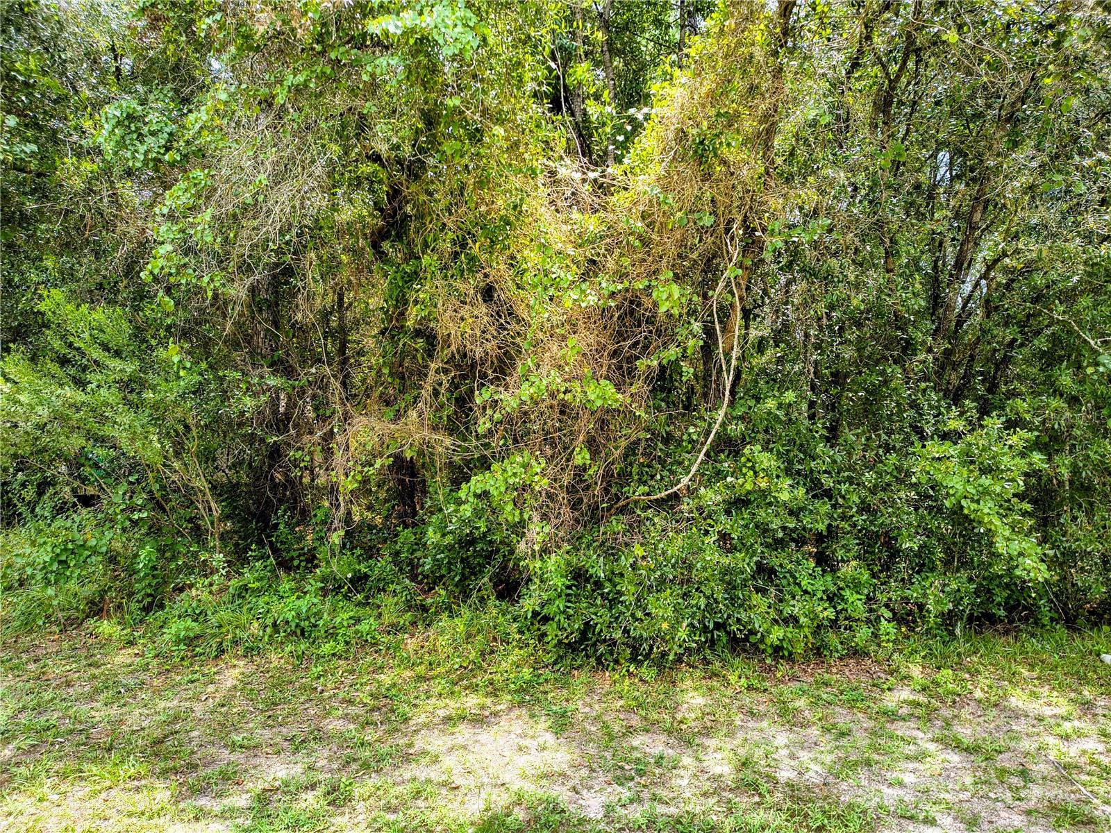 712 W COUNTRY CLUB BOULEVARD