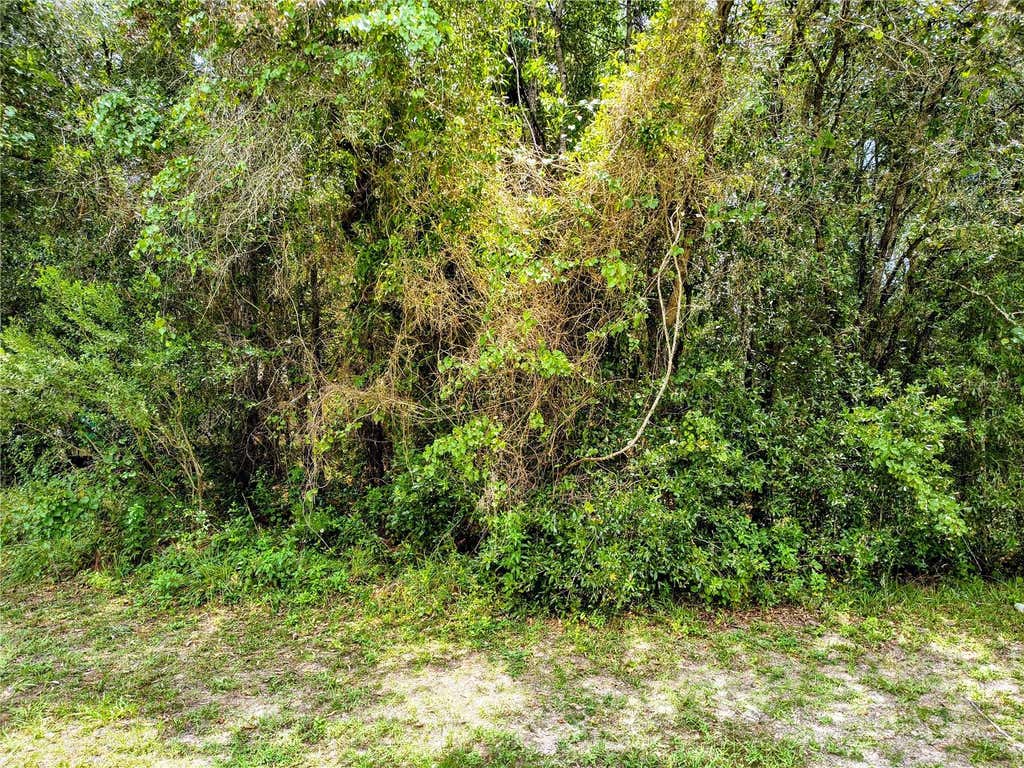 Photo of 712 W Country Club Boulevard, Citrus Springs, FL 34434 (MLS # OM729918)