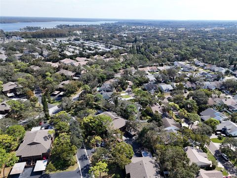 A home in PALM HARBOR