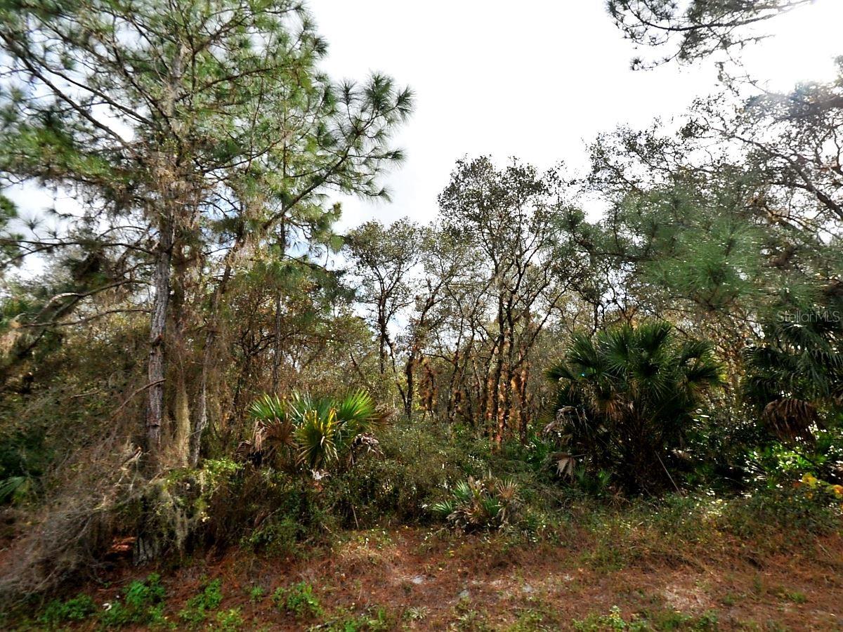 PORT CHARLOTTE SUB 18 - Land