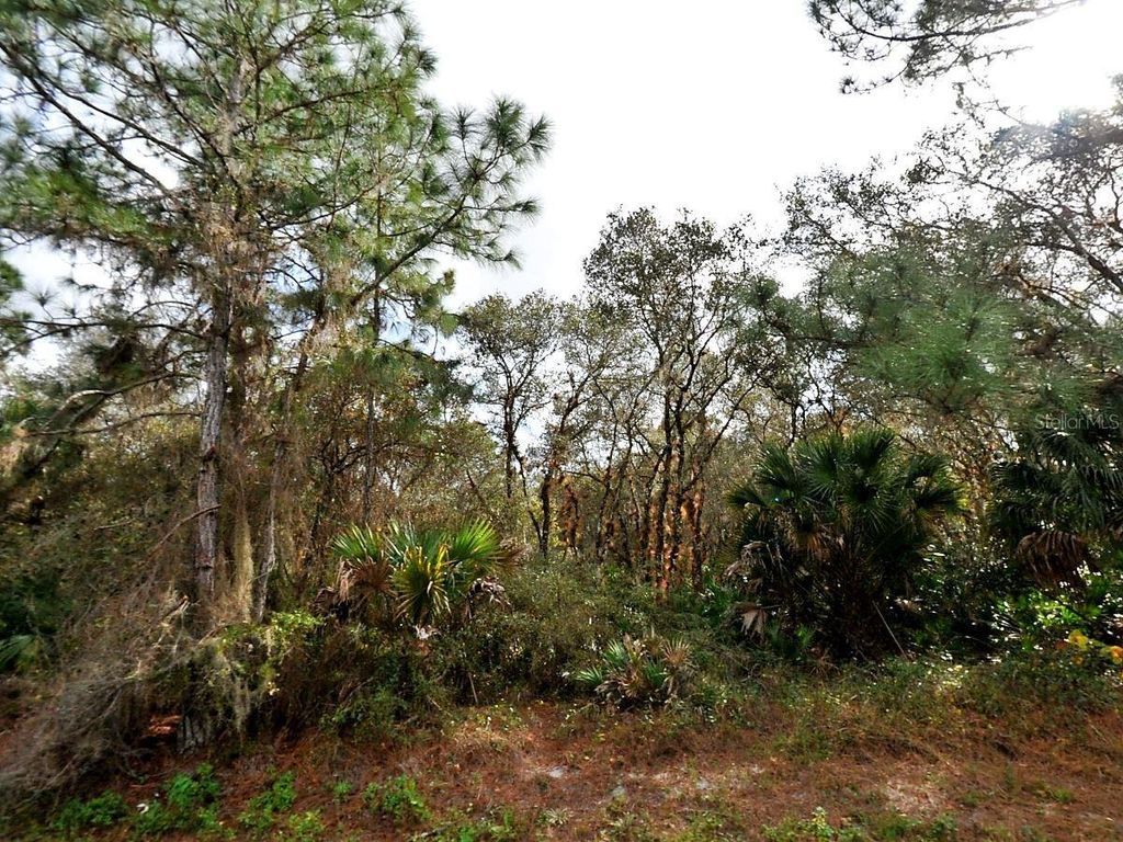 Photo of Fling Avenue, North Port, FL 34291 (MLS # A4641798)