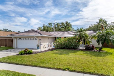 A home in SEMINOLE