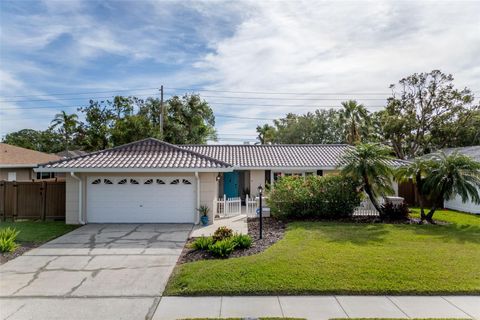 A home in SEMINOLE