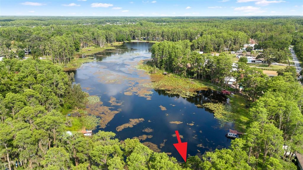 Photo of 22004 Dupree Drive, Land O Lakes, FL 34639 (MLS # TB8388665)