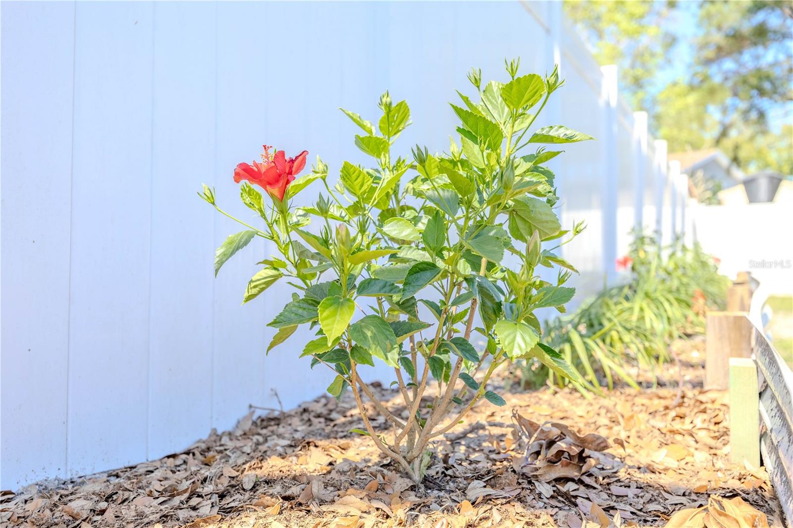 MILL POND VILLAGE - Residential