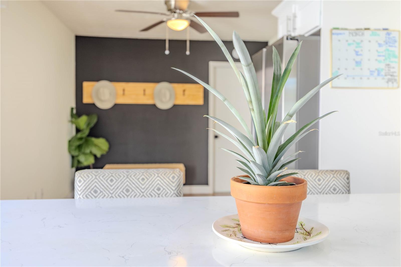 MILL POND VILLAGE - Residential