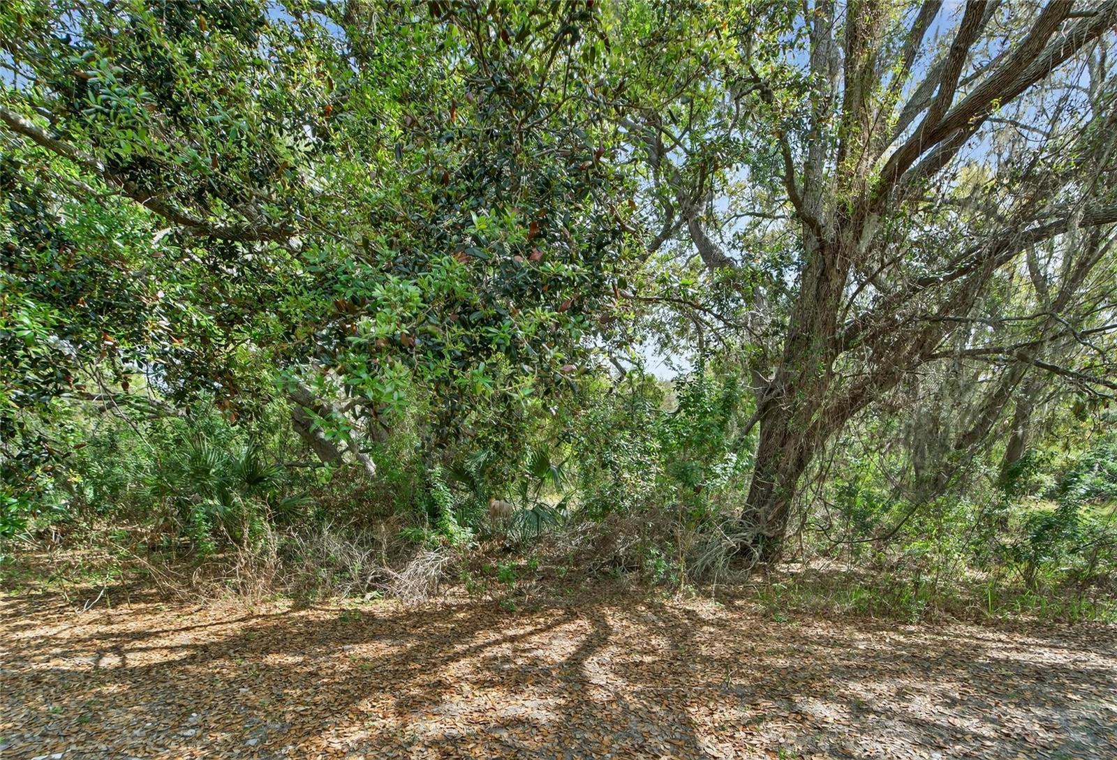 COPPERCREEK PH 1 - Residential