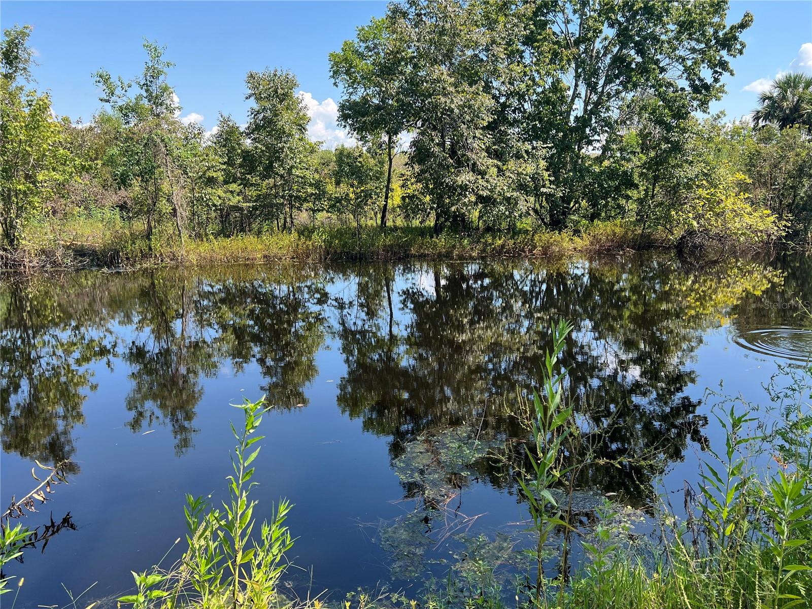 1498 STONE TRAIL