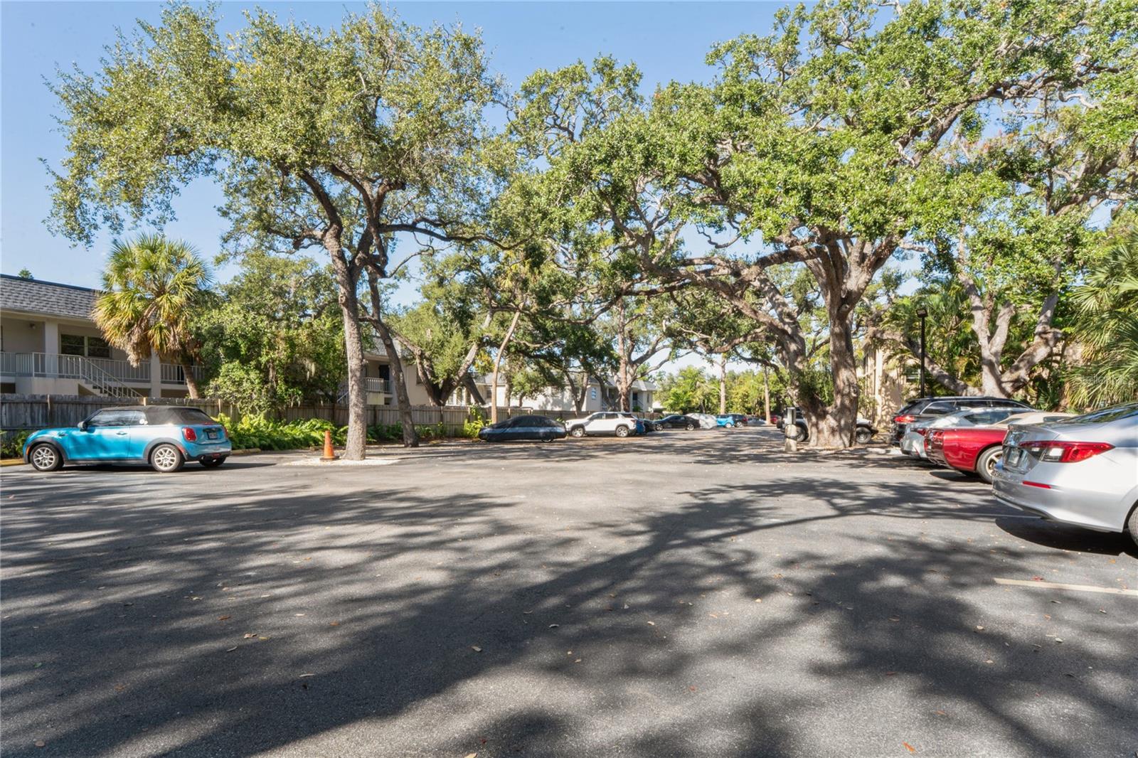 PLAZA GARDENS - Residential