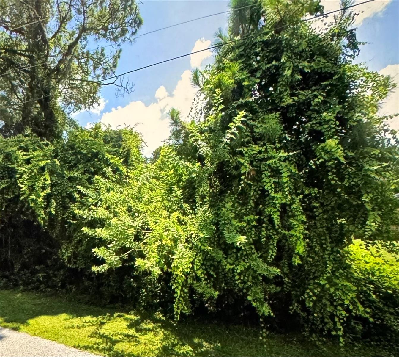 Prime .37-Acre Residential Lot in North Port, FL – Build Your Dream Home!
Discover the perfect opportunity to build your dream home in the thriving community of North Port, Florida! This spacious .37-acre vacant lot offers plenty of room for a custom-built residence, pool, or outdoor living space. Nestled in a quiet neighborhood, this property provides privacy while still being conveniently close to all that North Port has to offer.
Don’t miss out on this fantastic investment or future home site! Contact me today for more details.