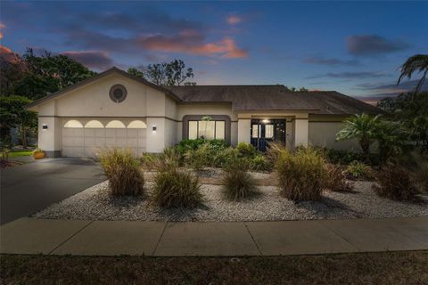 2924 WINDRIDGE DRIVE HOLIDAY FL 34691