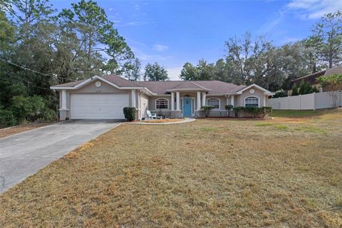 A home in CITRUS SPRINGS