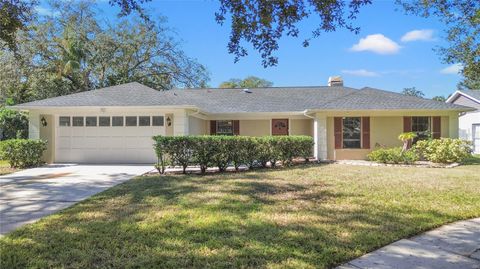 A home in TAMPA