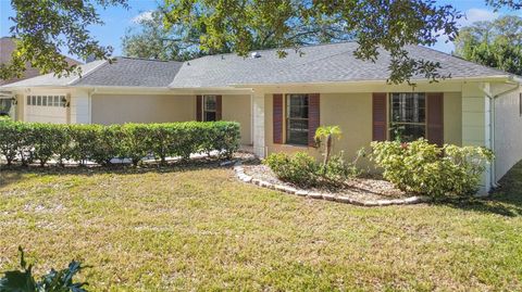 A home in TAMPA