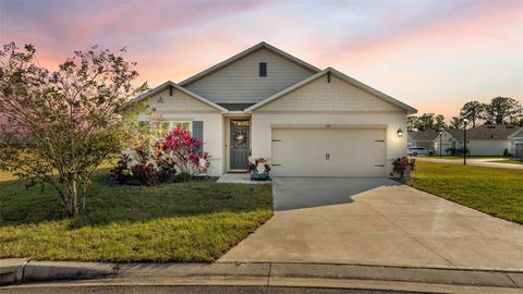 Photo of 240 St Thomas Drive, Mulberry, FL 33860 (MLS # L4957655)