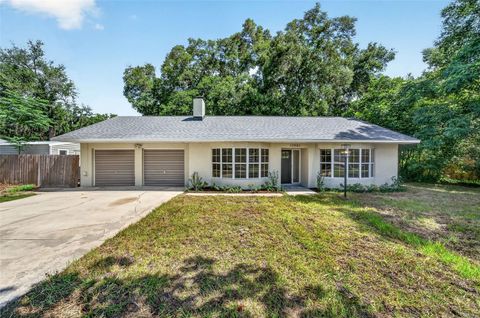 Photo of 17901 Palm Street, Umatilla, FL 32784 (MLS # TB8519360)