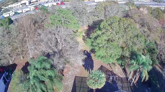 COURTLEIGH PARK - Residential