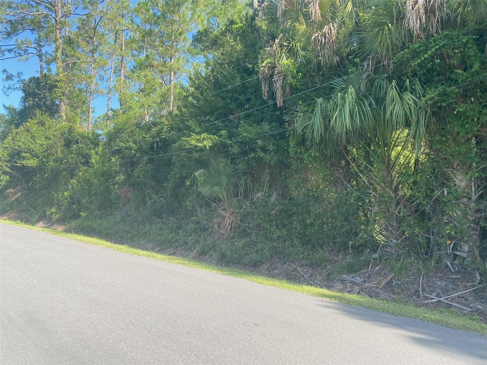 SELLER VERY MOTIVATED!!! Seize the rare opportunity to own a piece of land in Bunnell, Florida. Located in the heart of Bunnell, this property enjoys the benefits of a tranquil, rural atmosphere while being conveniently close yo local amenities and services. Electricity is ready available at the street level. The property prime location ensures easy access to major highways, Palm Coast and Daytona Beach are a quick drive. CONTACT US TODAY! don't miss out this piece of land, 100 State Rd is just a couple blocks away. This is a great opportunity in a development area.