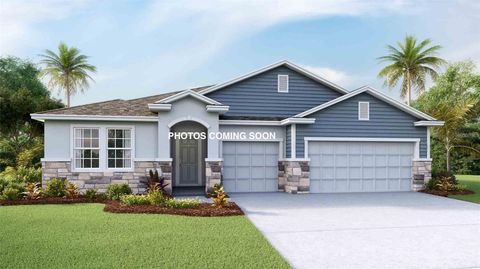 Photo of 32337 Conchshell Sail Street, Wesley Chapel, FL 33545 (MLS # TB8514700)