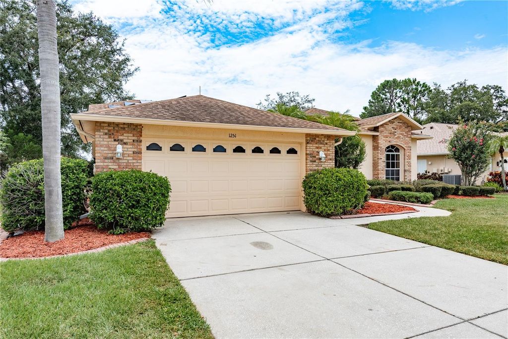Photo of 1251 Rambling Vine Court, Trinity, FL 34655 (MLS # TB8410011)