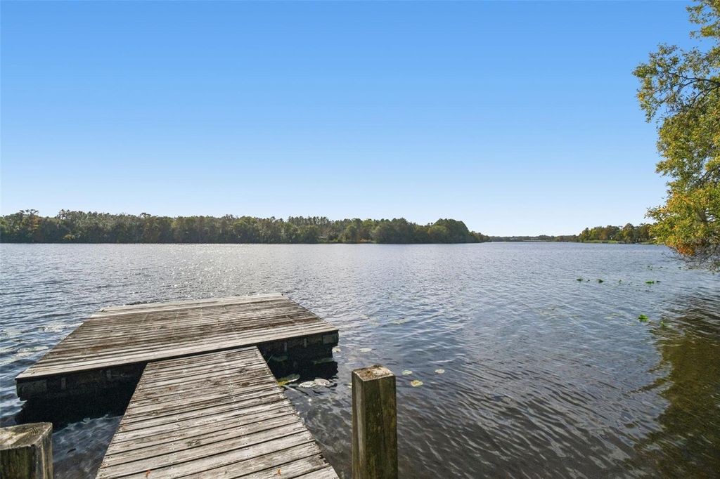 Photo of 4601 River Hills Drive, Tampa, FL 33617 (MLS # TB8459593)