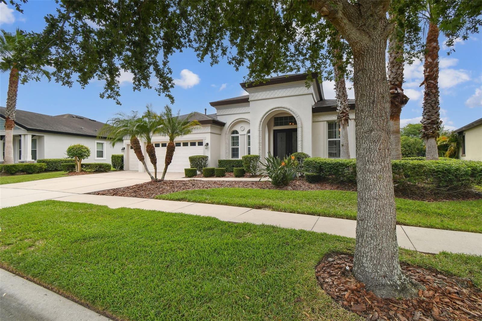 8413 SWISS CHARD CIRCLE