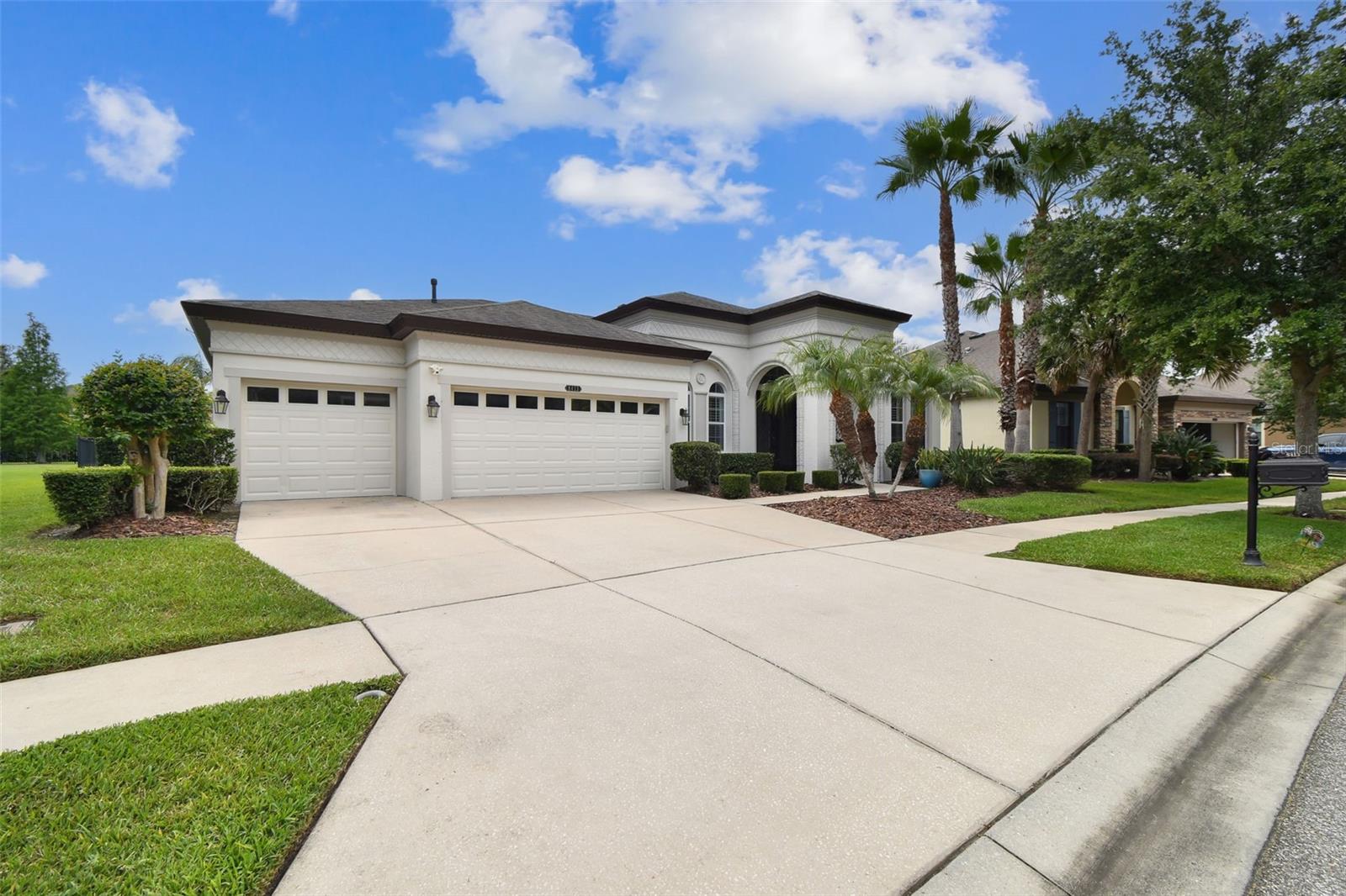 8413 SWISS CHARD CIRCLE