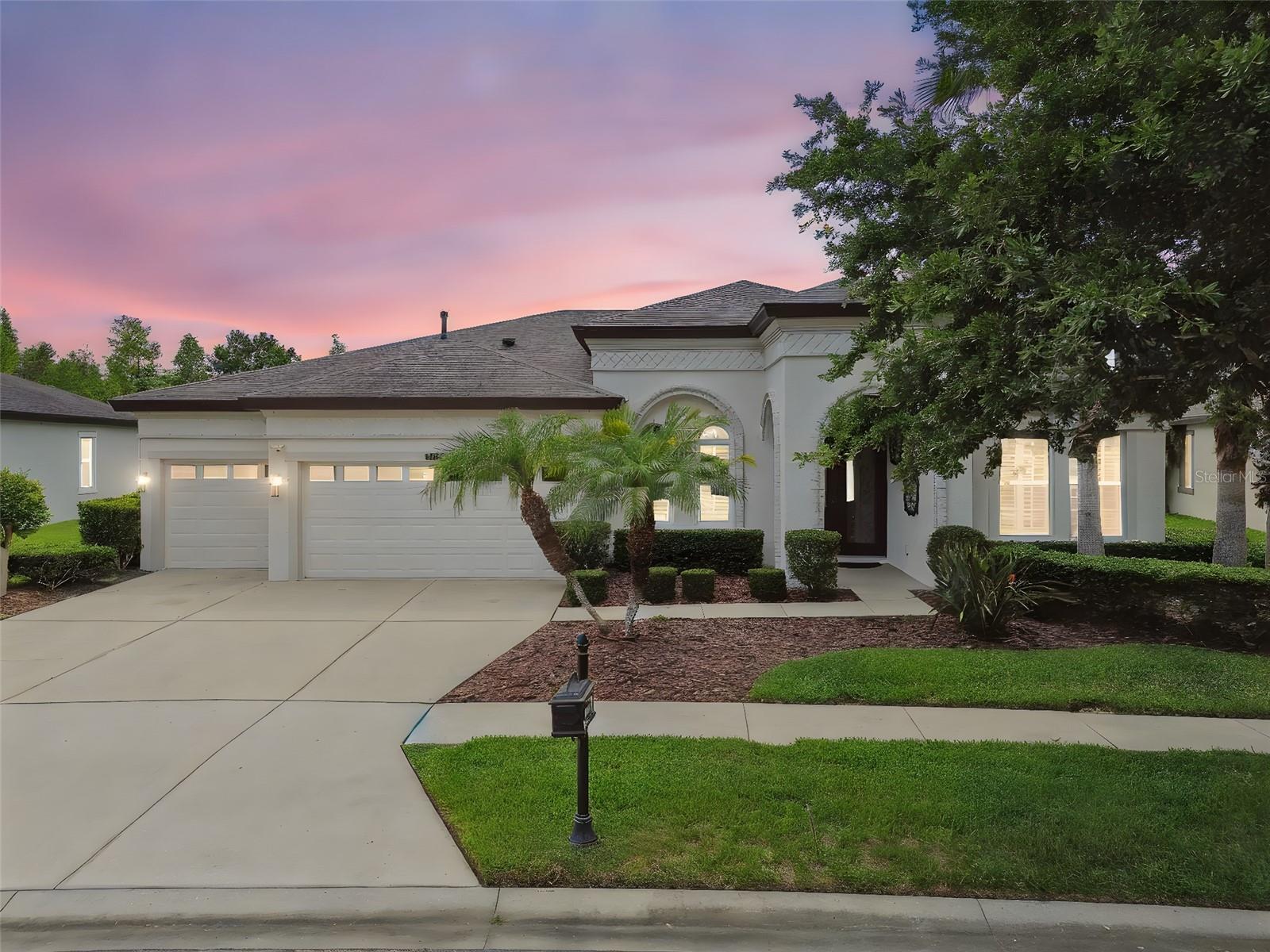 8413 SWISS CHARD CIRCLE