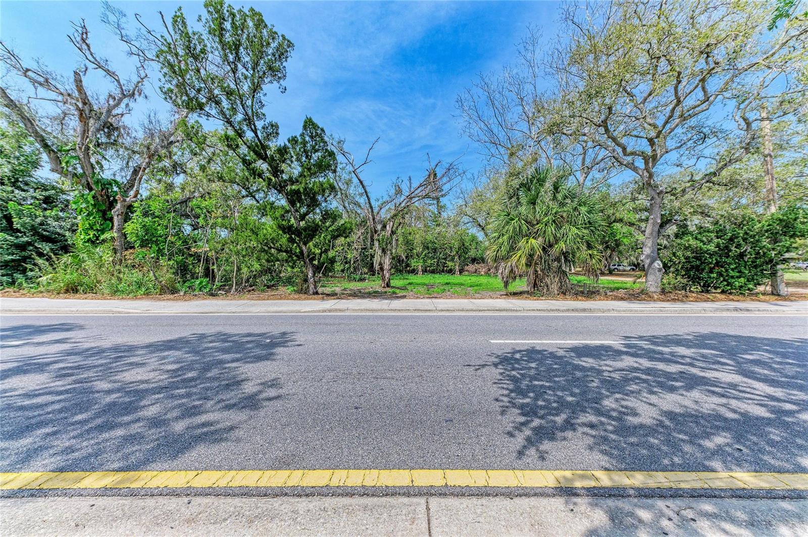 ACREAGE & UNREC - Land