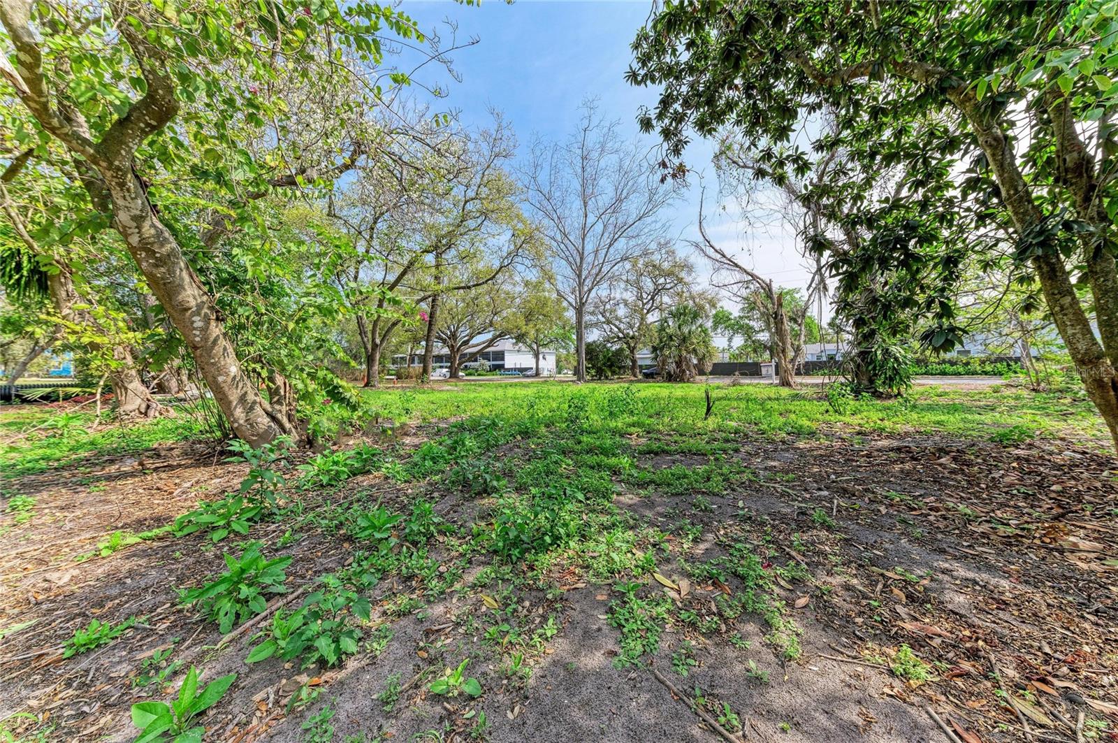 ACREAGE & UNREC - Land