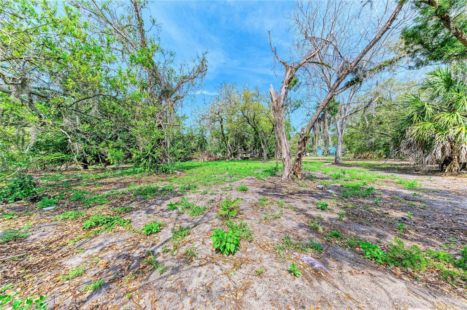 ACREAGE & UNREC - Land