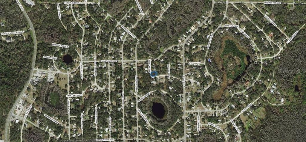 Photo of 17 Hagar Drive, New Port Richey, FL 34654 (MLS # A4694136)