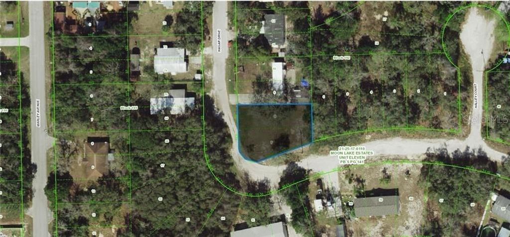 Photo of 17 Hagar Drive, New Port Richey, FL 34654 (MLS # A4694136)