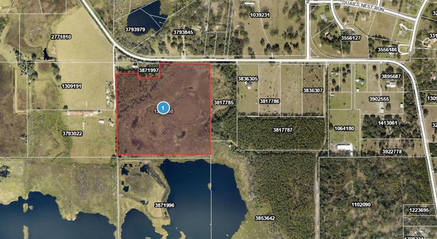 Great parcel in a rapidly developing area of Lake County. Approximately 35 acres, 4 acres of which is high and dry with Majestic live Oaks and long needle Pines. Beautiful setting for your custom home and farm..