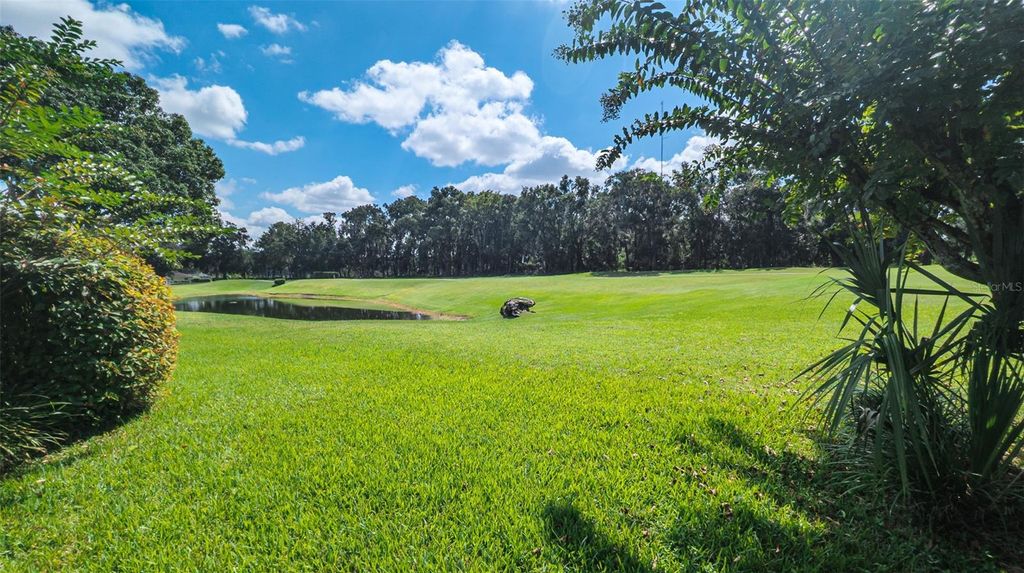 Photo of 5064 NW 18th Street, Ocala, FL 34482 (MLS # O6349010)