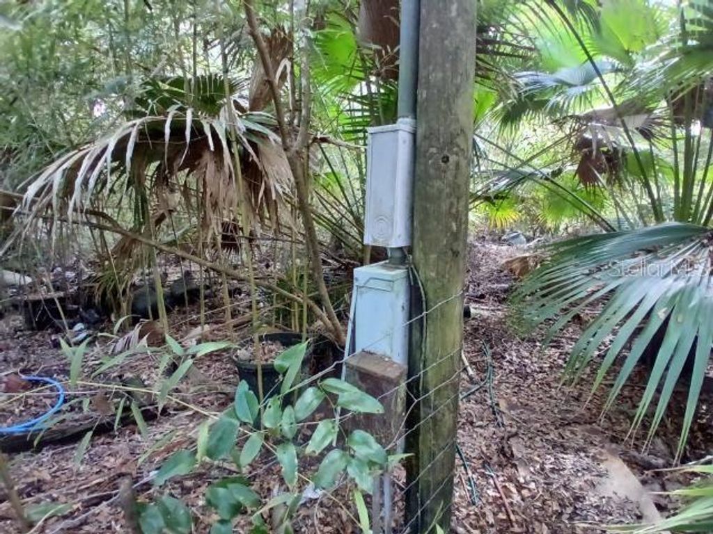 Photo of 6104 NW 268th Terrace, Newberry, FL 32669 (MLS # V4948319)